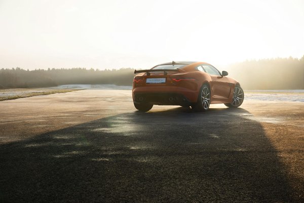 Impacto de la Terapia de Luz Azul en Nuestro Ritmo Circadiano: Lo Que Debes Saber