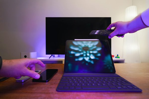 Fortaleciendo la Conexión: Estrategias Efectivas para un Vínculo Inquebrantable entre tu Periquito y Tú